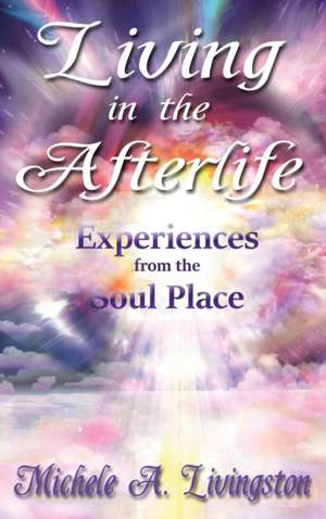 Living in the Afterlife - Experiences from the Soul Place de Michele A. Livingston