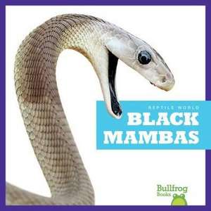 Black Mambas de Kingsley, Imogen