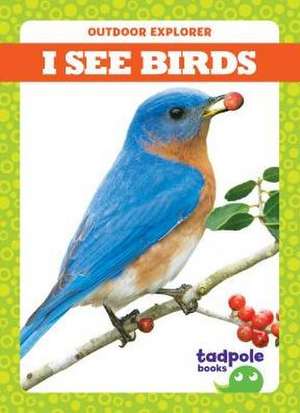 I See Birds de Tim Mayerling