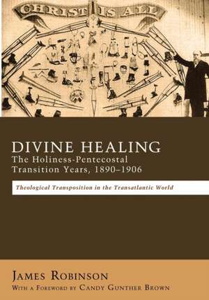 Divine Healing: Theological Transpositions in the Transatlantic World de James Robinson