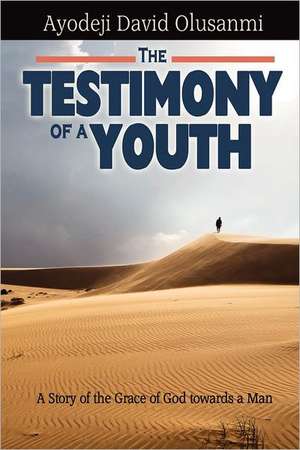 The Testimony of a Youth: One Man's Story about His Life of Raw Sex de ayodeji David olusanmi