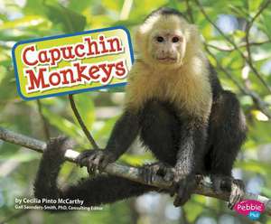 Capuchin Monkeys de Cecilia Pinto McCarthy