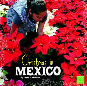 Christmas in Mexico de Cheryl L. Enderlein