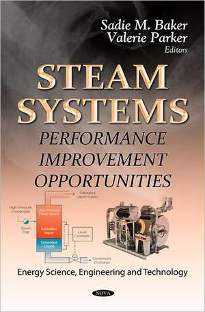 Steam Systems de Sadie M. Baker