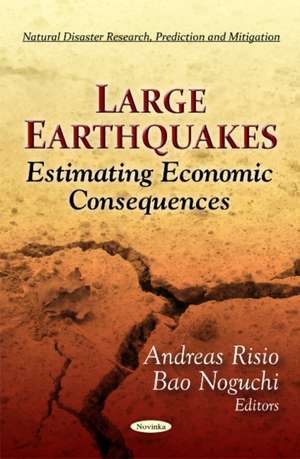 Large Earthquakes de Andreas Risio