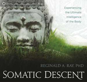 Somatic Descent: Experiencing the Ultimate Intelligence of the Body de Reginald A. Ray Phd