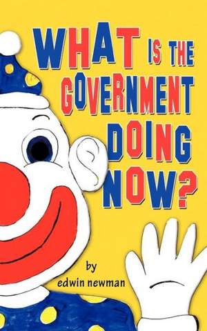 What Is the Government Doing Now? de Edwin Newman