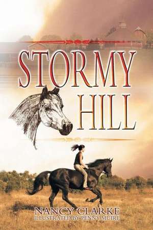 Stormy Hill de Nancy Clarke