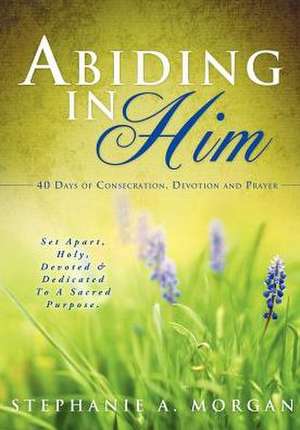 Abiding in Him de Stephanie a. Morgan