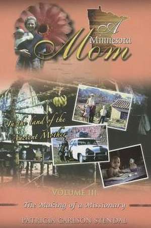 A Minnesota Mom, Volume 3: The Making of a Missionary de Patricia C. Stendal