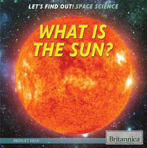 What Is the Sun? de Bridget Heos