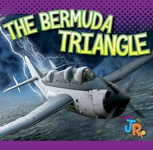 The Bermuda Triangle de Marysa Storm