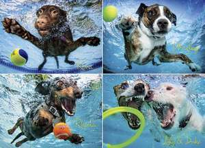 Underwater Dogs 2 Jigsaw Puzzle de Seth Casteel