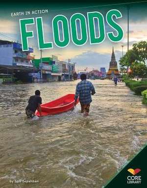 Floods de Lois Sepahban