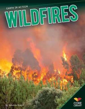 Wildfires de Rebecca Rowell