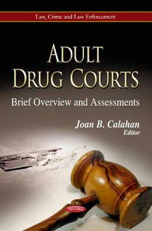 Adult Drug Courts de Joan B. Calahan