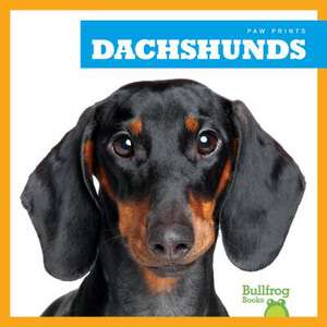 Dachshunds de Kaitlyn Duling