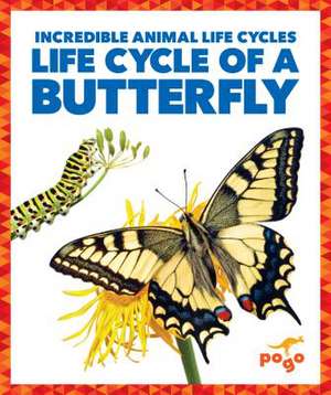 Life Cycle of a Butterfly de Karen Kenney