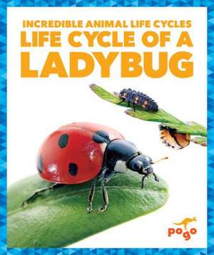 Life Cycle of a Ladybug de Karen Kenney