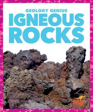 Igneous Rocks de Rebecca Pettiford