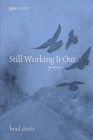 Still Working It Out de Brad Davis