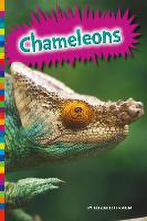 Chameleons de Elizabeth Raum