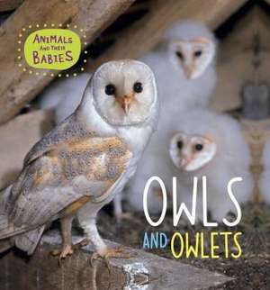 Owls and Owlets de Annabelle Lynch