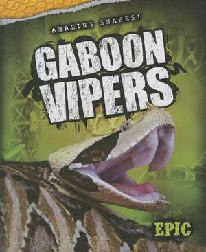 Gaboon Vipers de Chris Bowman