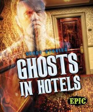 Ghosts in Hotels de Lisa Owings