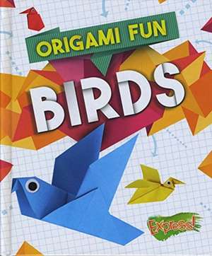 Origami Fun: Birds de Robyn Hardyman