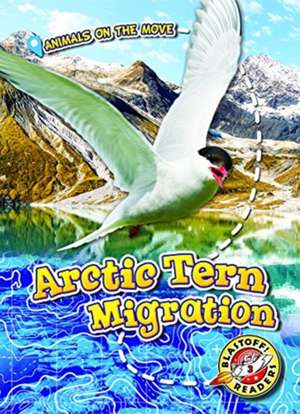 Arctic Tern Migration de Kari Schuetz