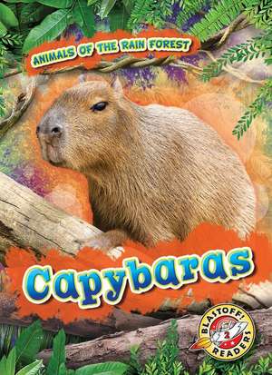 Capybaras de Rachel Grack