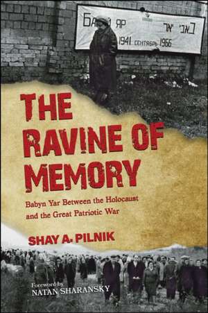 The Ravine of Memory de Shay A. Pilnik