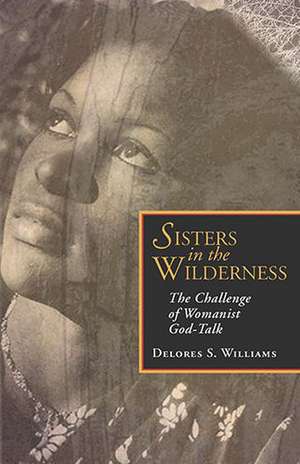 Sisters in the Wilderness de Delores S. Williams