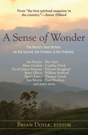 A Sense of Wonder de Brian Doyle