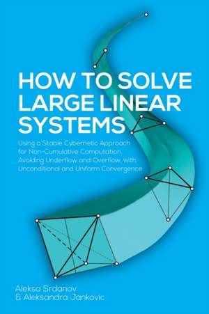 How to Solve Large Linear Systems de Aleksa Srdanov