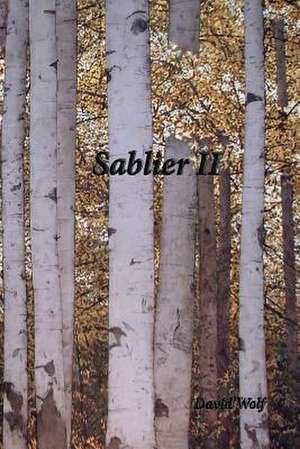 Sablier II de David Wolf