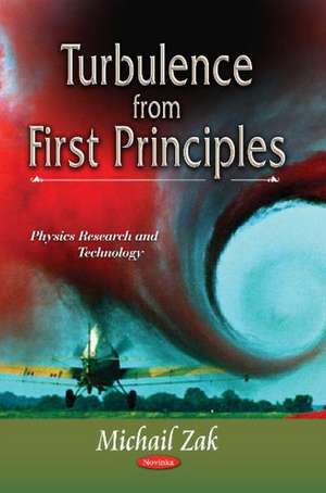 Turbulence from First Principles de Michail Zak