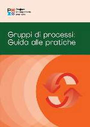 Process Groups: A Practice Guide (Italian) de Pmi