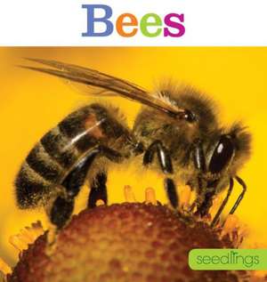 Seedlings: Bees de Aaron Frisch