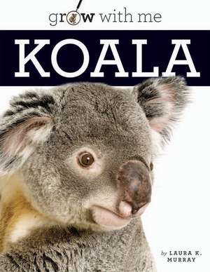 Koala de Laura K. Murray