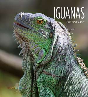 Iguanas de Melissa Gish