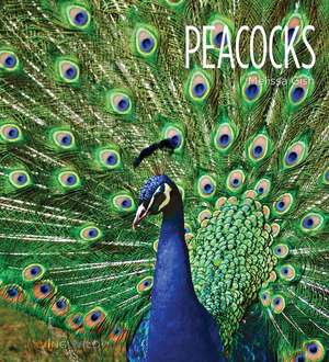 Peacocks de Melissa Gish