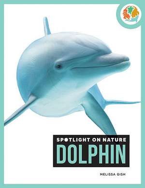 Dolphin de Melissa Gish