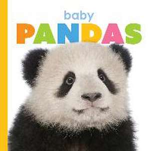 Baby Pandas de Kate Riggs