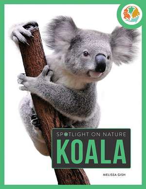 Koala de Melissa Gish