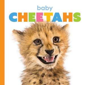 Baby Cheetahs de Kate Riggs