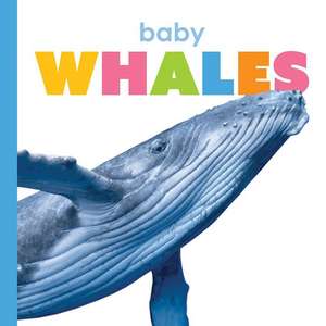 Baby Whales de Kate Riggs