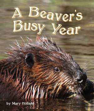 The Beavers' Busy Year de Mary Holland