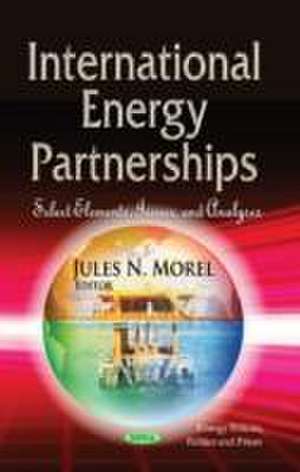 International Energy Partnerships de Jules N. Morel